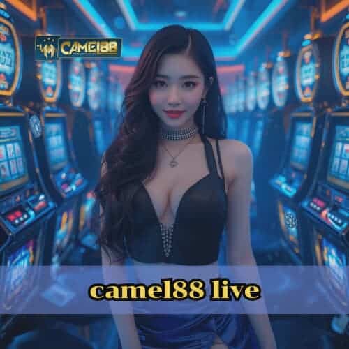 camel88 live
